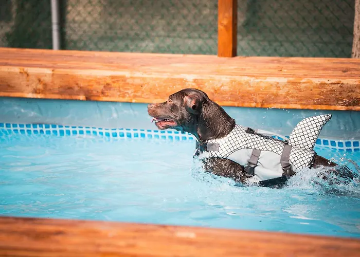 Mobilehomes In 53447 Rimini