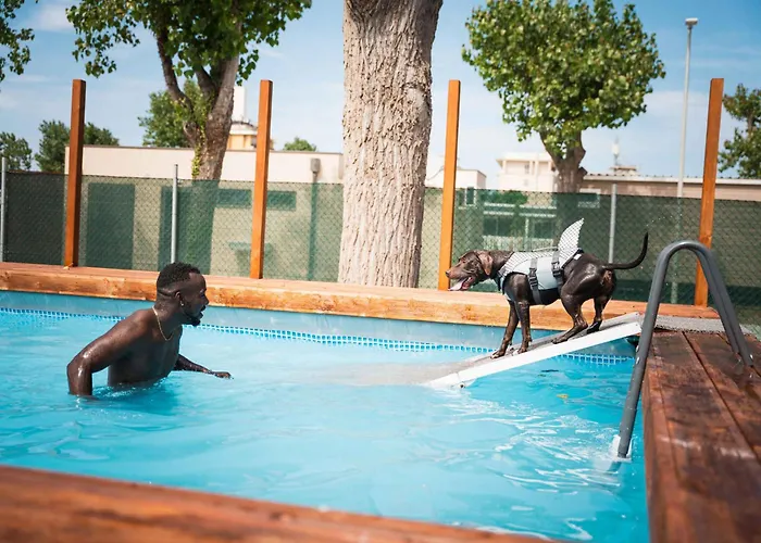 Mobilehomes In 53447 Parco vacanze